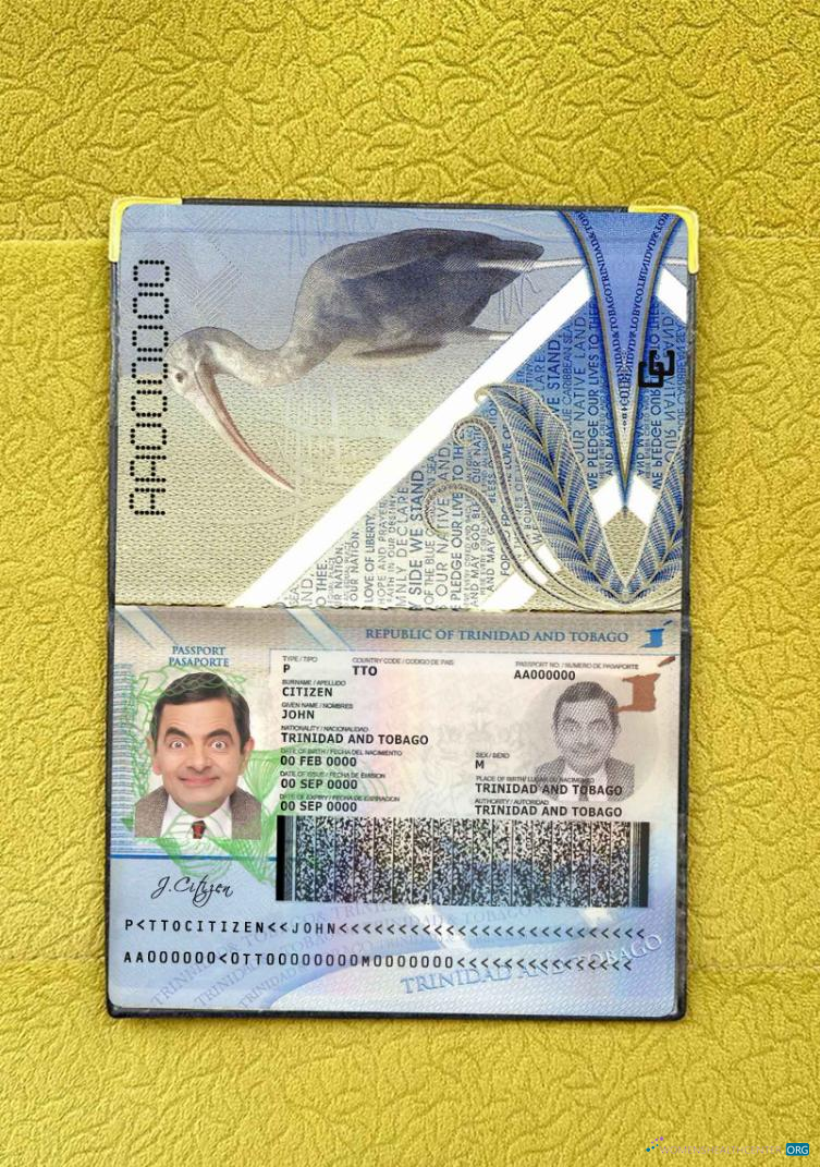 Download Trinidad and Tobago passport photo look Photoshop template